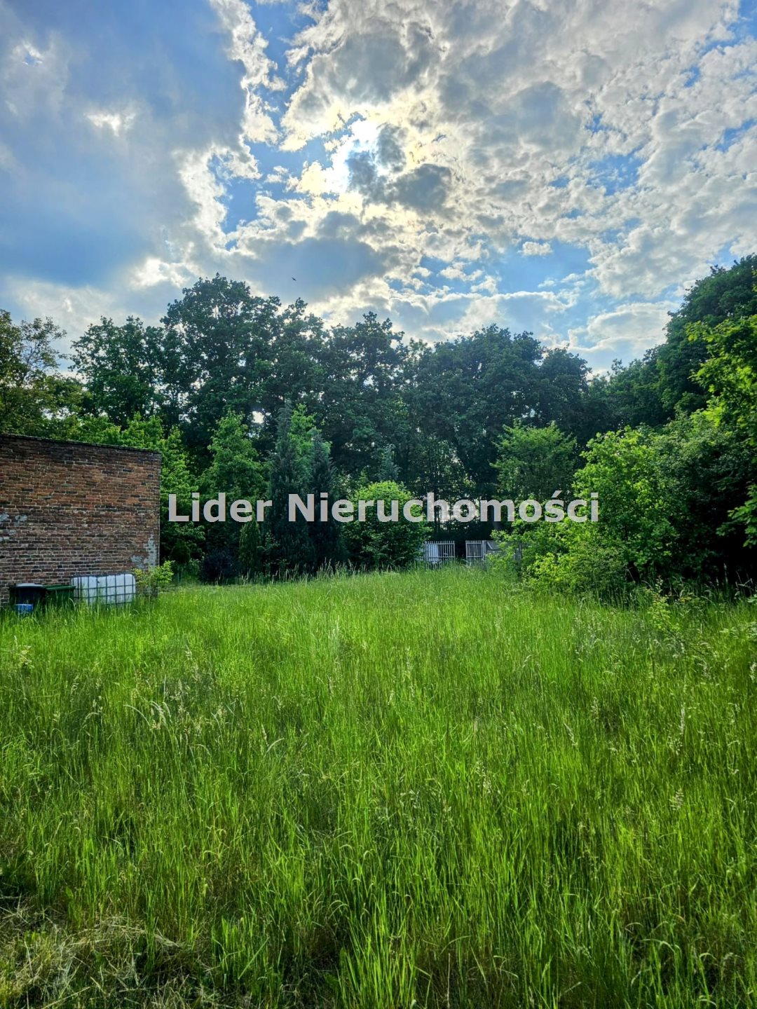 Zdjęcie 3
