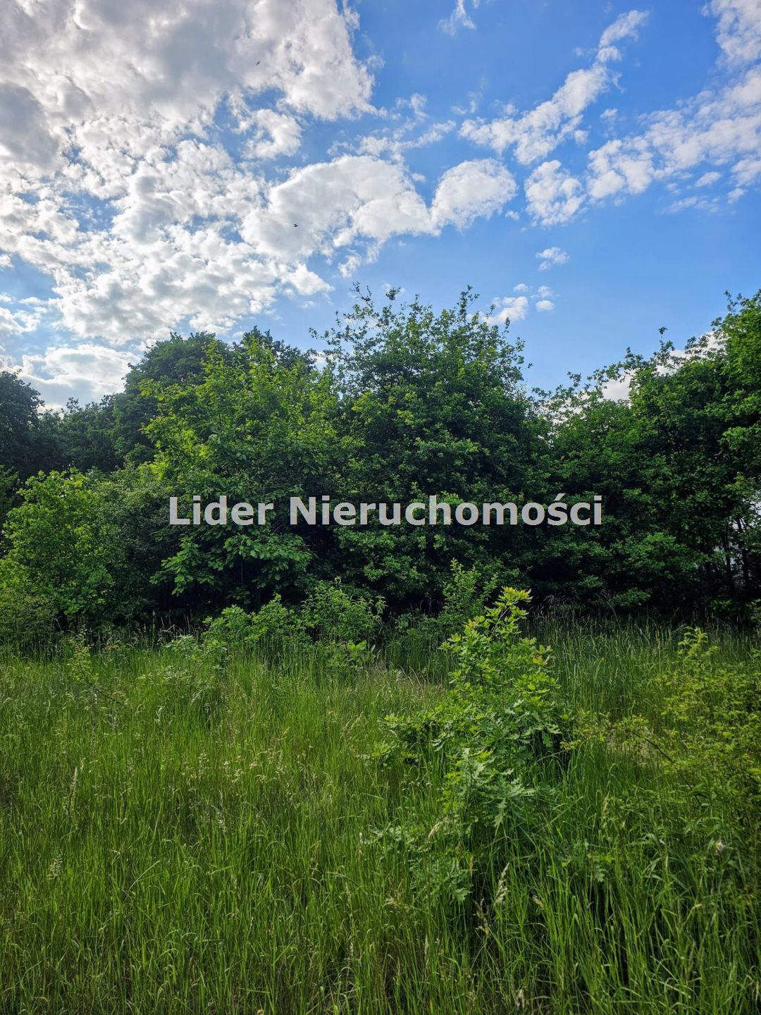 Zdjęcie 4
