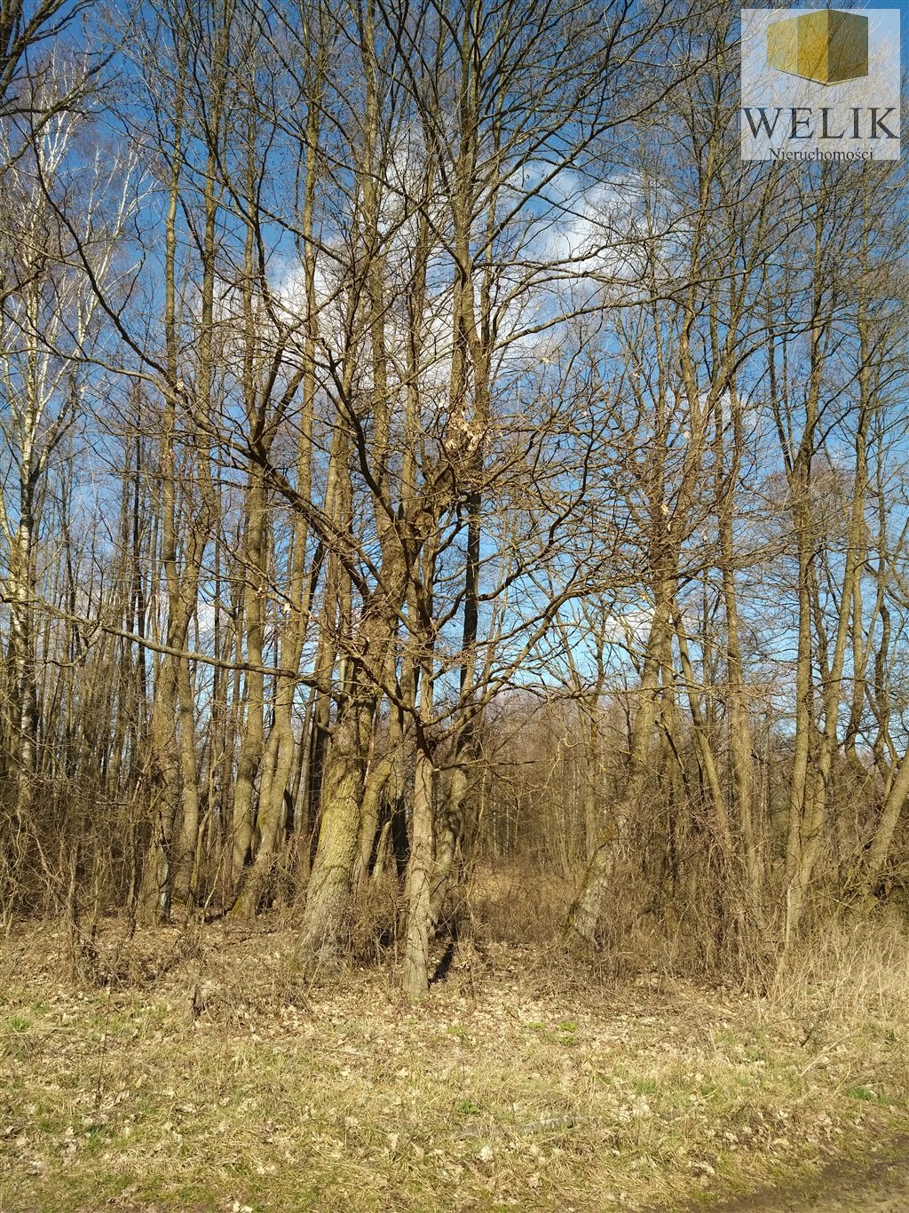 Zdjęcie 3