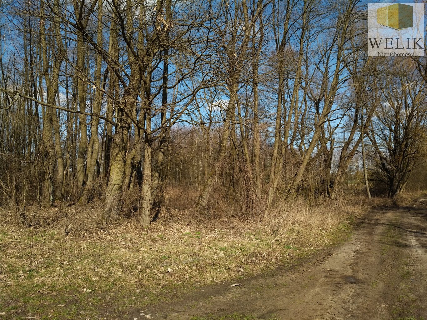 Zdjęcie 4