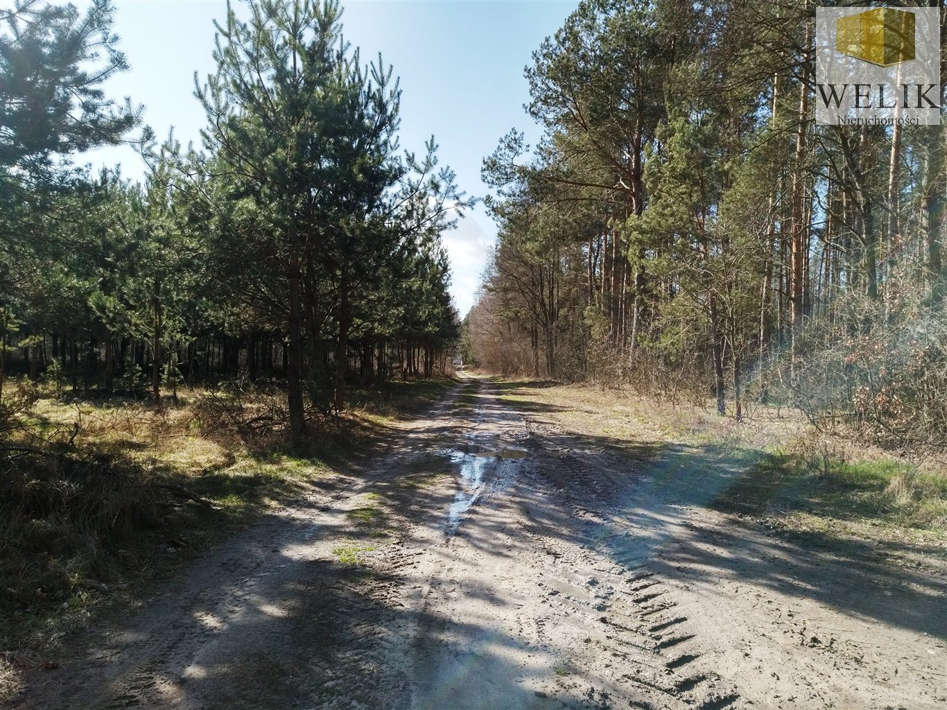 Zdjęcie 6