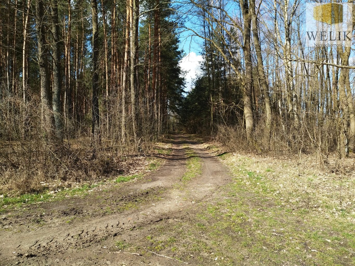 Zdjęcie 7