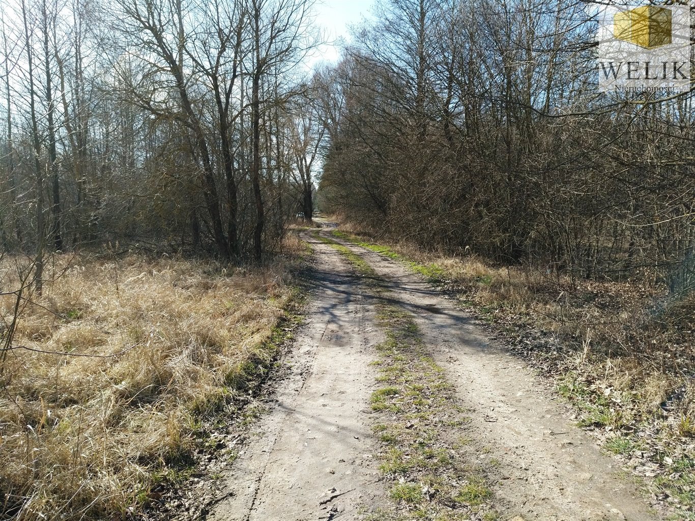 Zdjęcie 8
