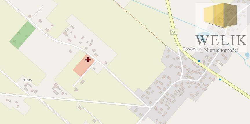 Zdjęcie 6