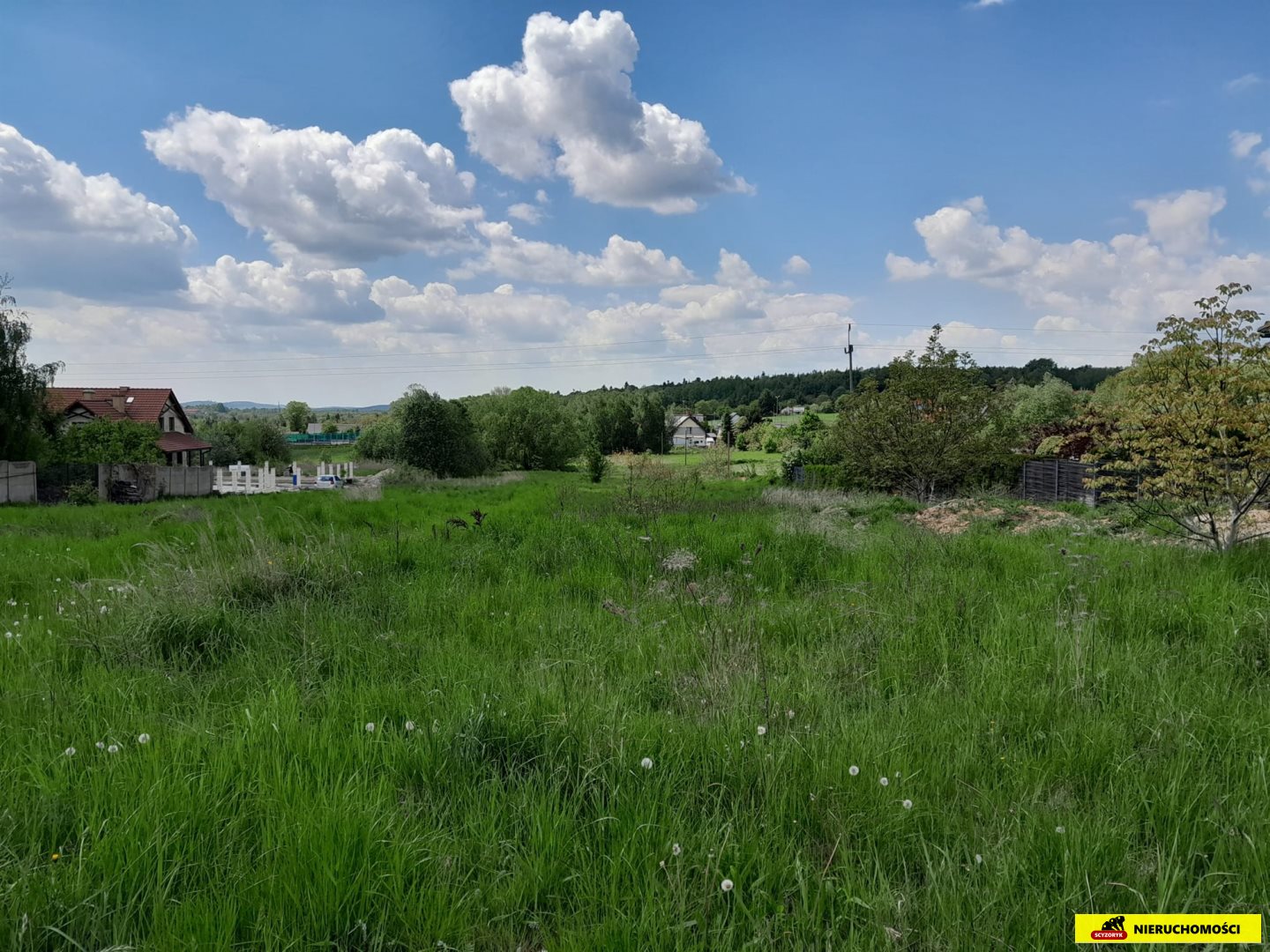 Zdjęcie 6