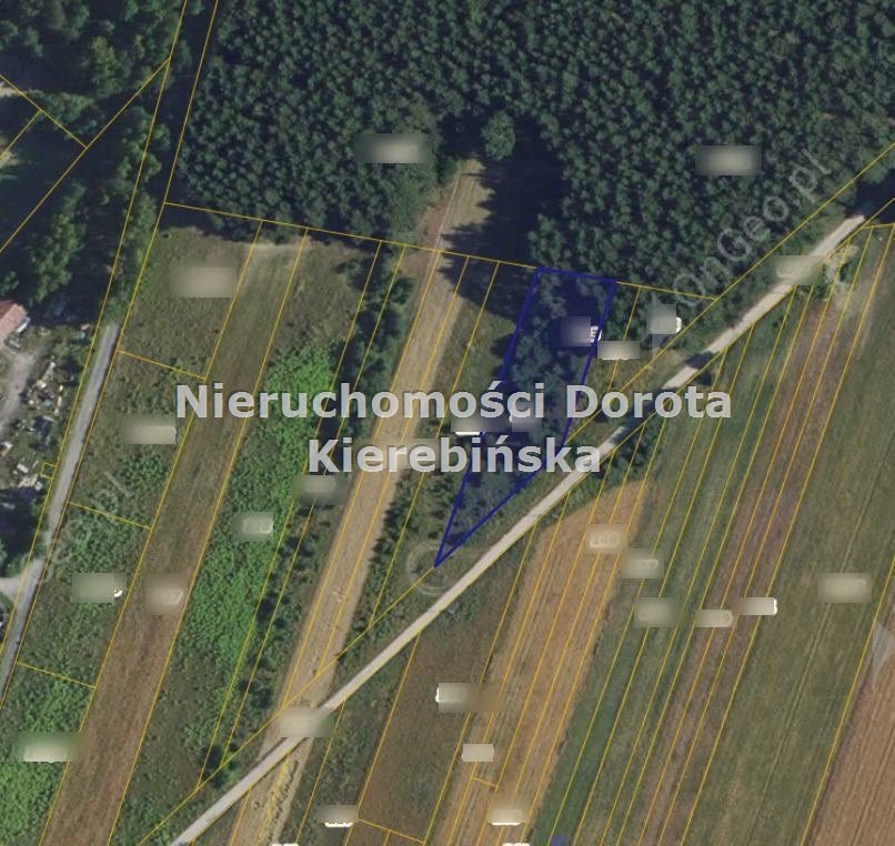 Zdjęcie 3