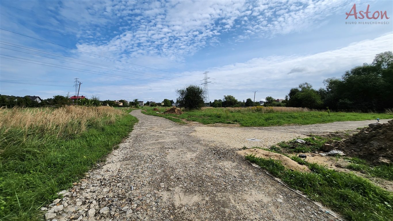 Zdjęcie 2