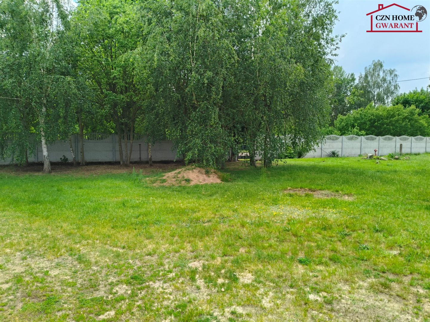 Zdjęcie 10