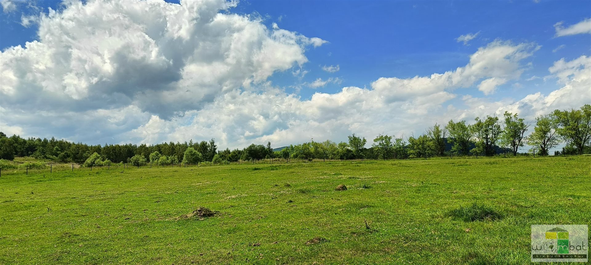 Zdjęcie 15