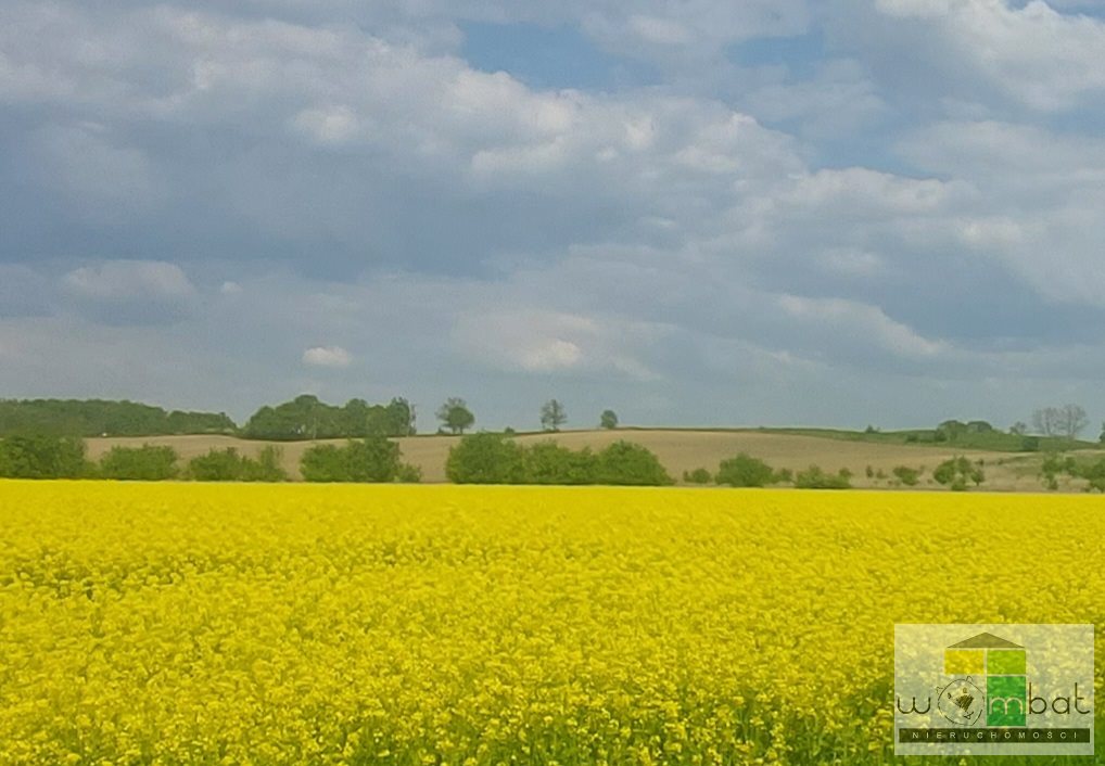 Zdjęcie 2