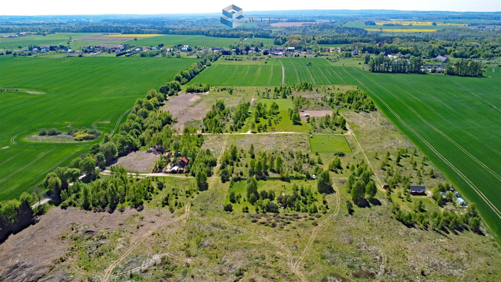 Zdjęcie 10