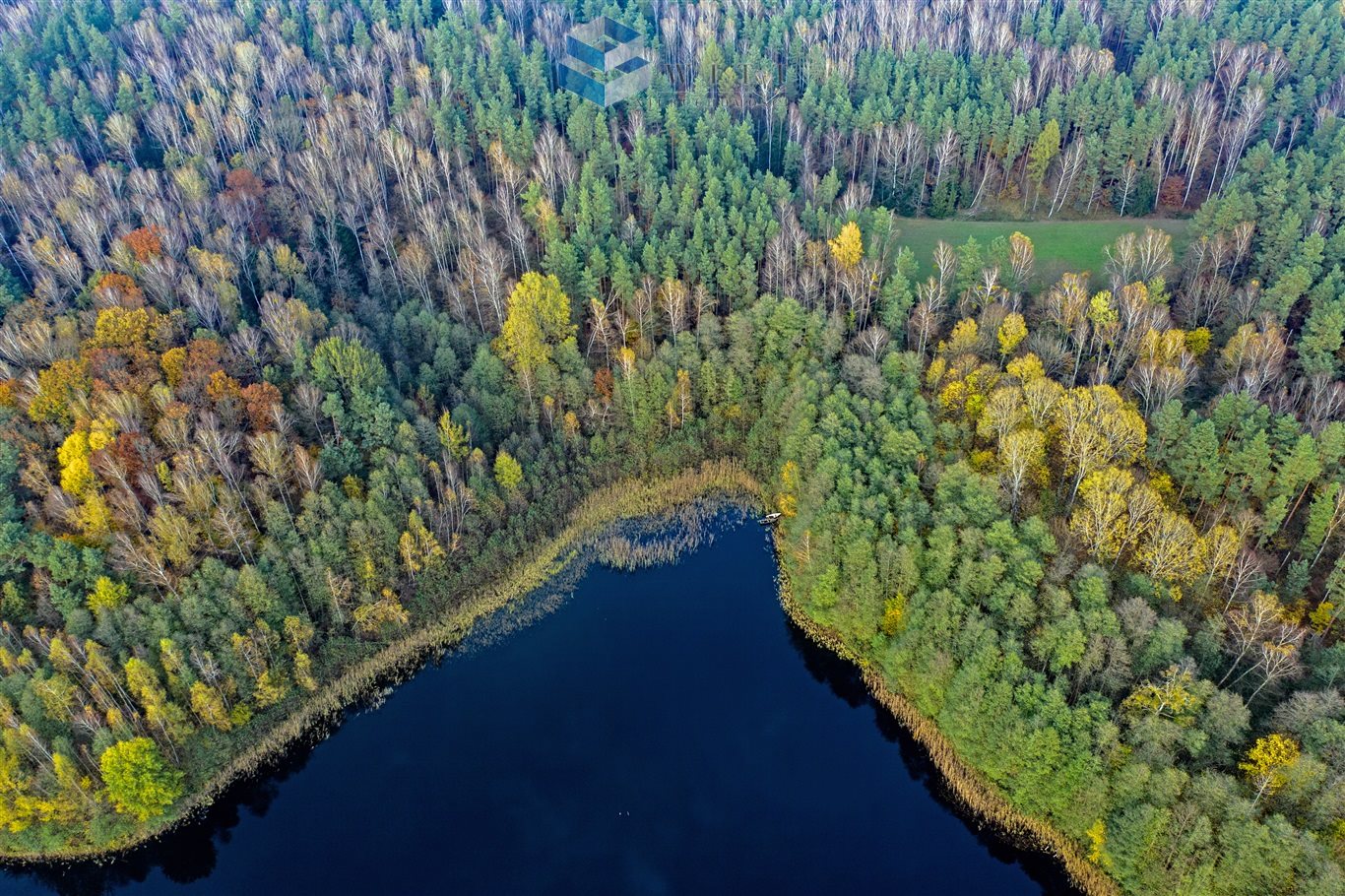 Zdjęcie 16