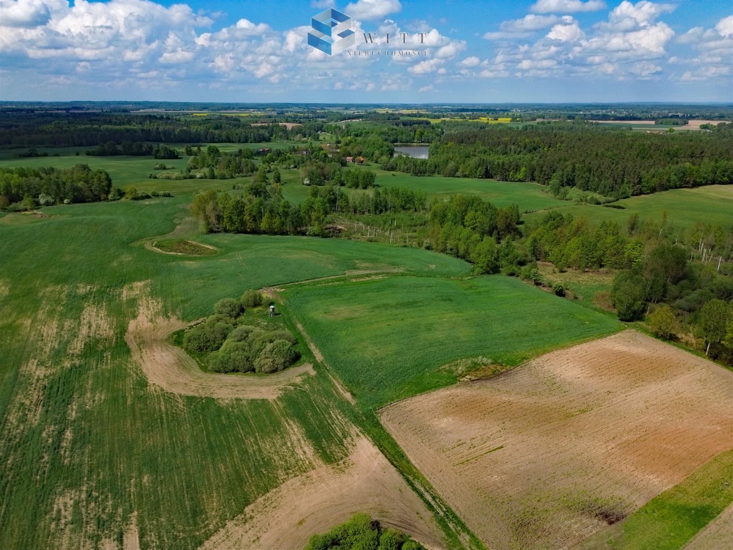 Zdjęcie 13