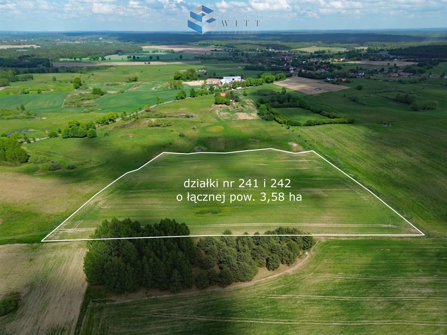 Zdjęcie 14