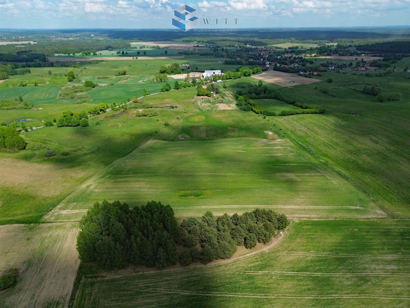 Zdjęcie 15