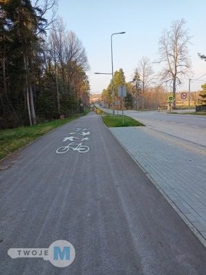 Zdjęcie 8