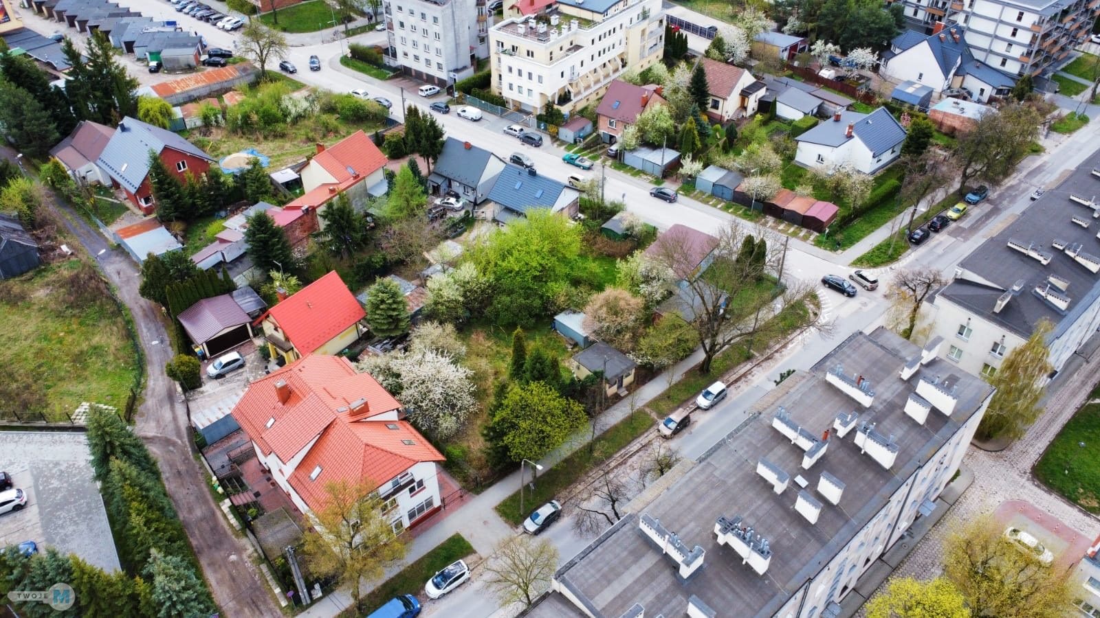 Zdjęcie 11