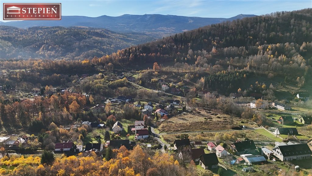 Zdjęcie 13