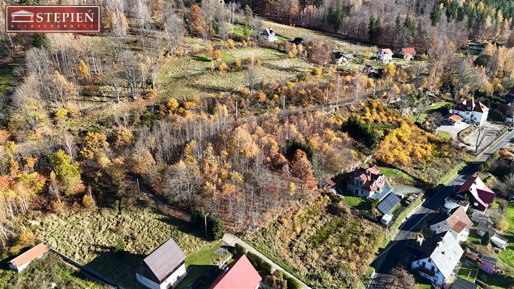 Zdjęcie 15
