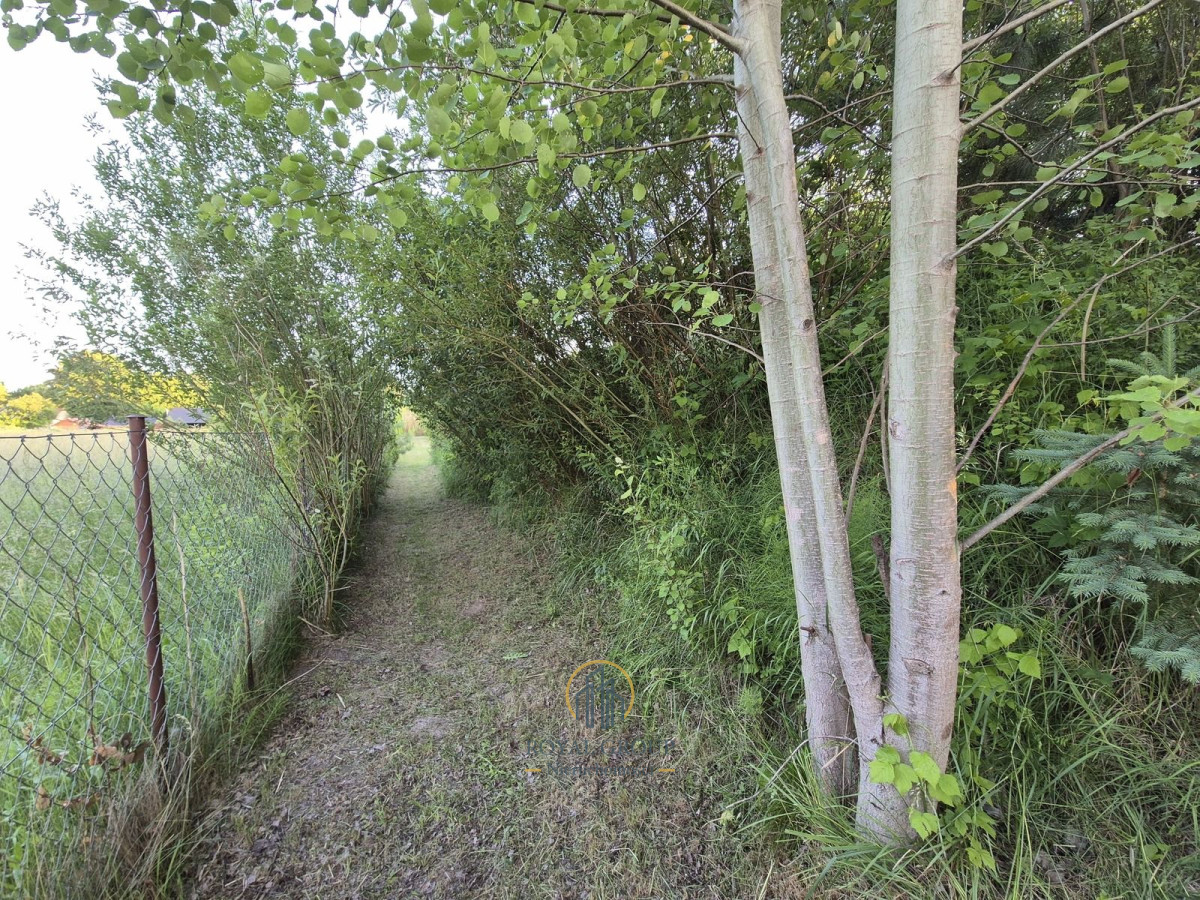 Zdjęcie 10