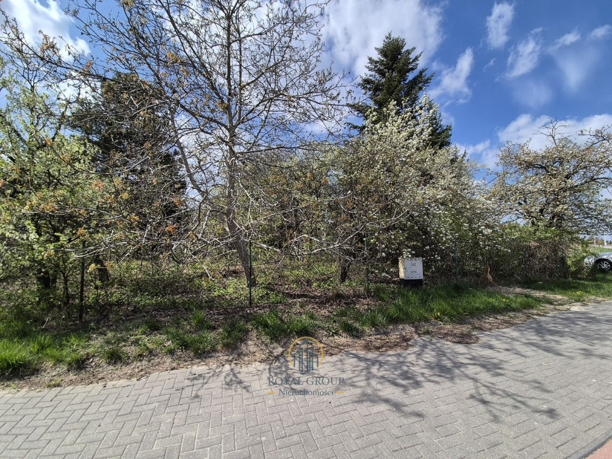 Zdjęcie 10