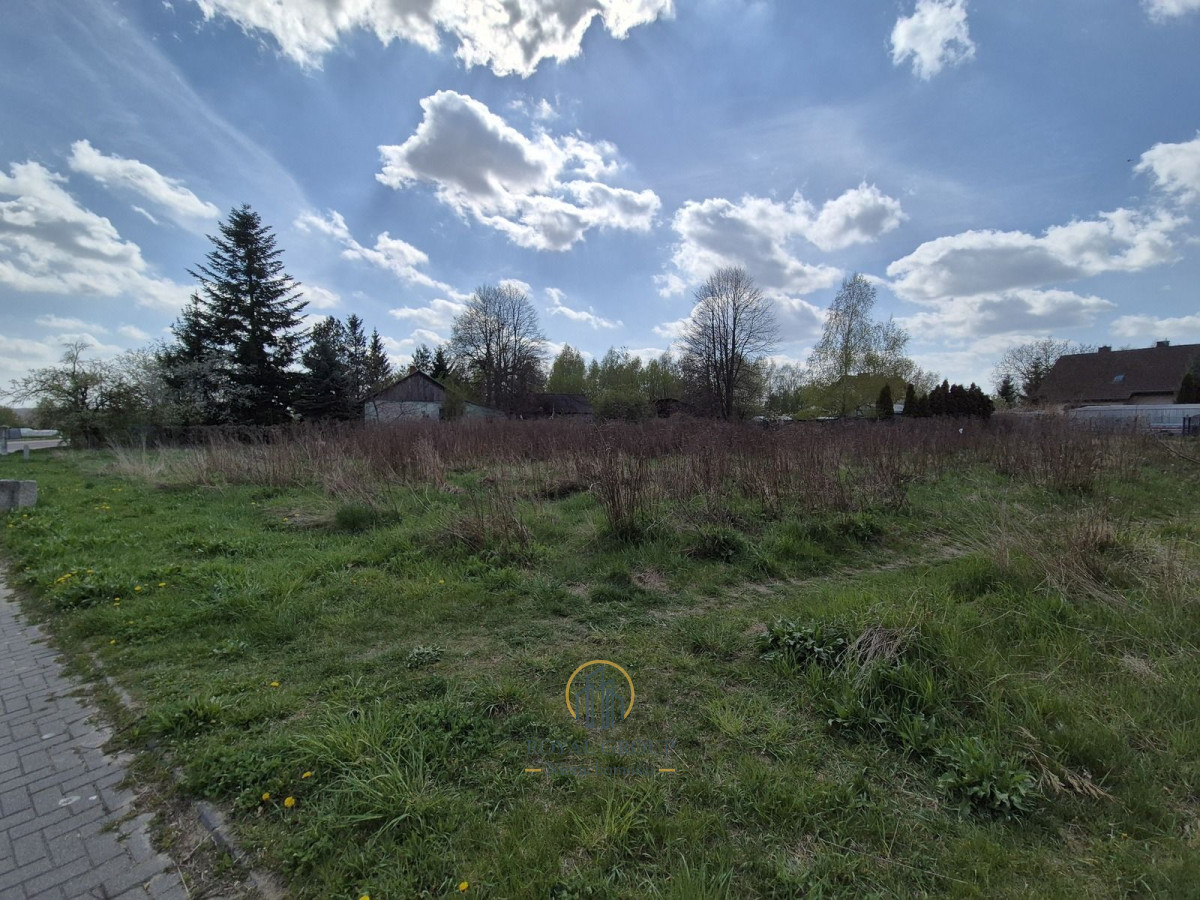 Zdjęcie 17