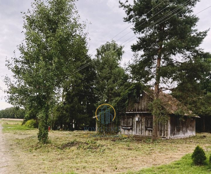 Zdjęcie 4