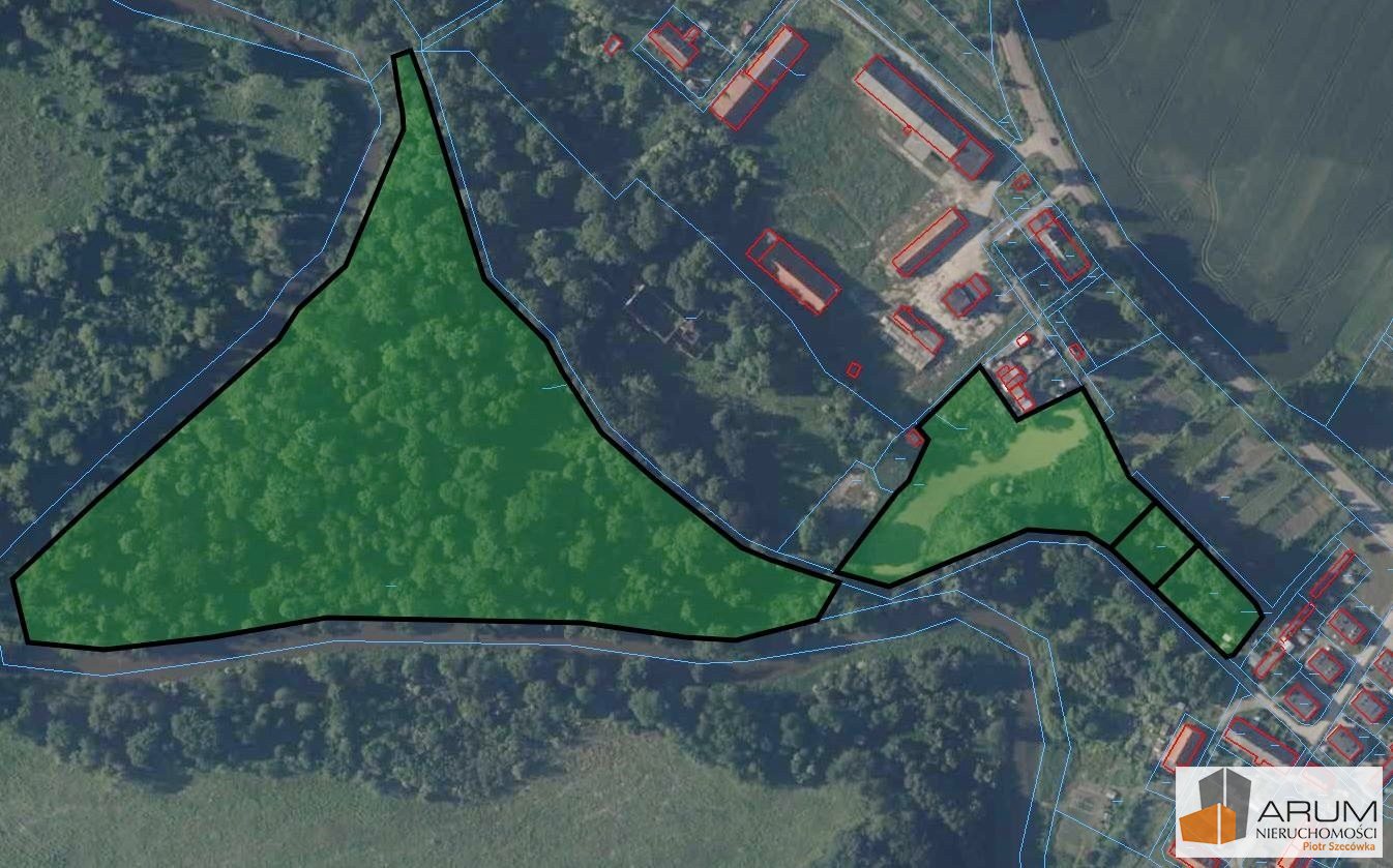 Zdjęcie 2