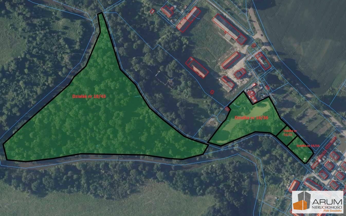 Zdjęcie 3