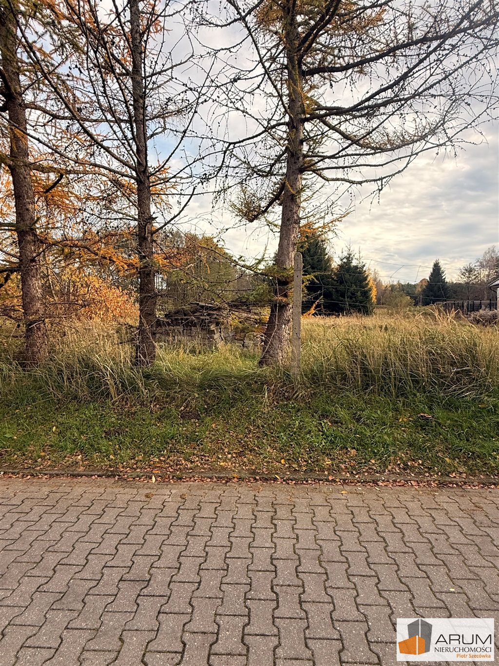 Zdjęcie 2