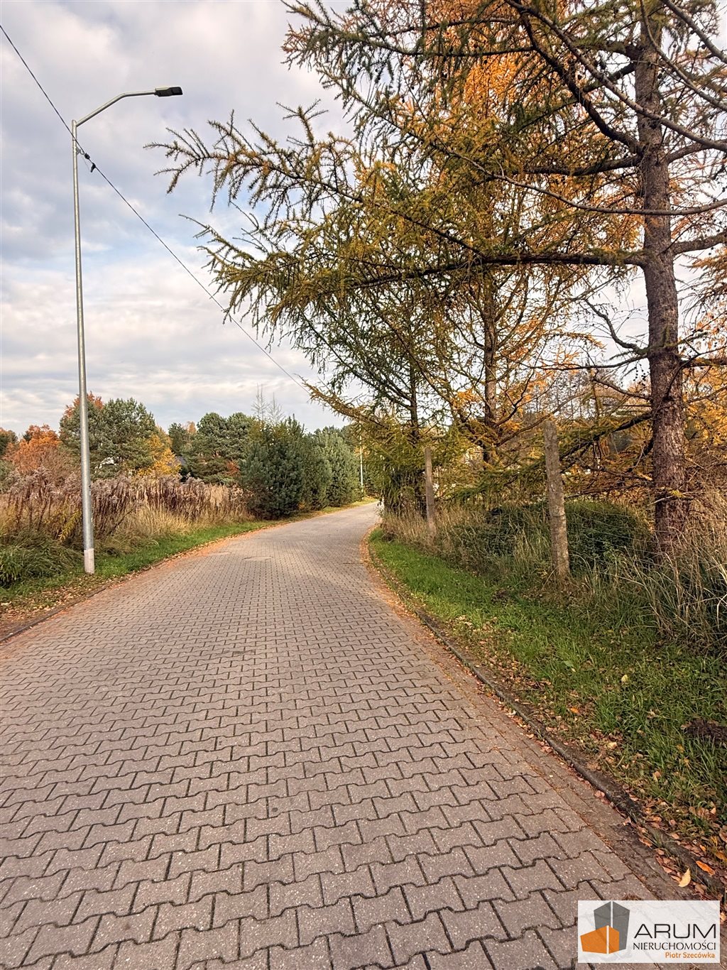 Zdjęcie 3