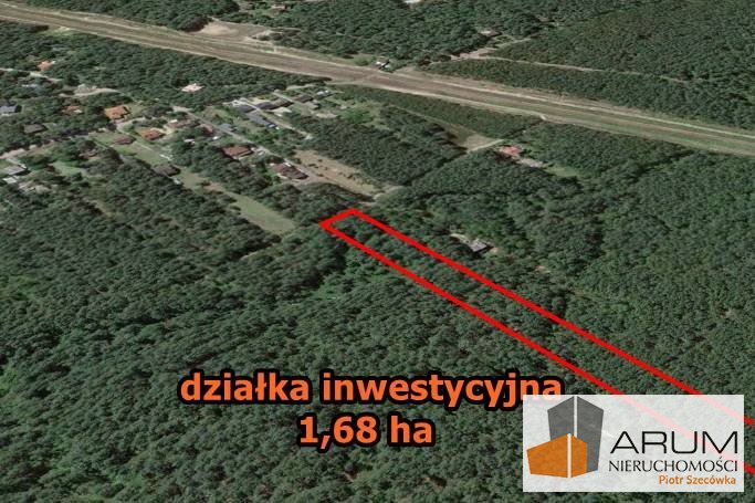 Zdjęcie 5