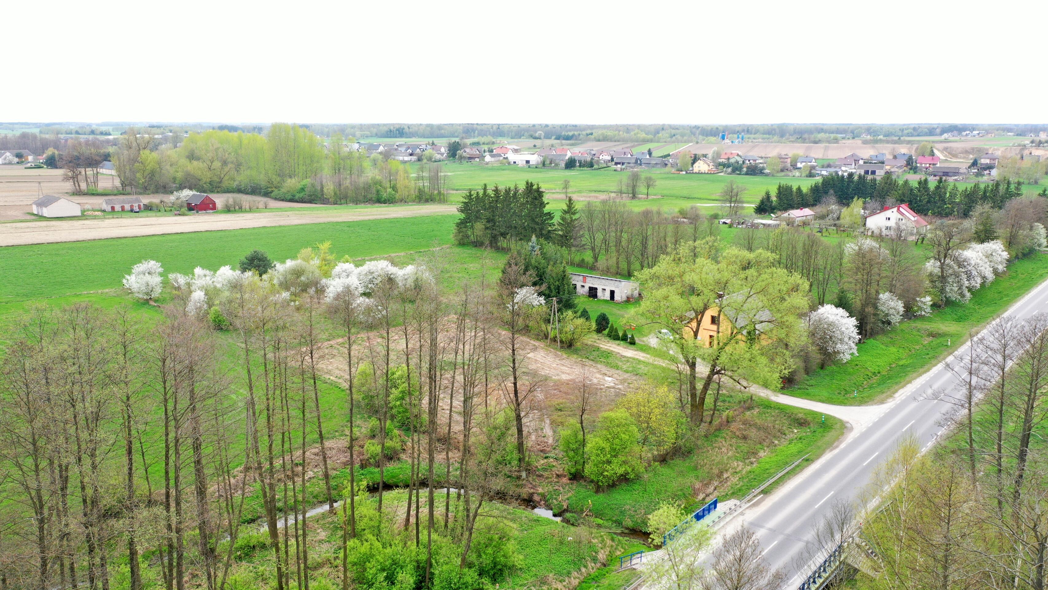 Zdjęcie 4