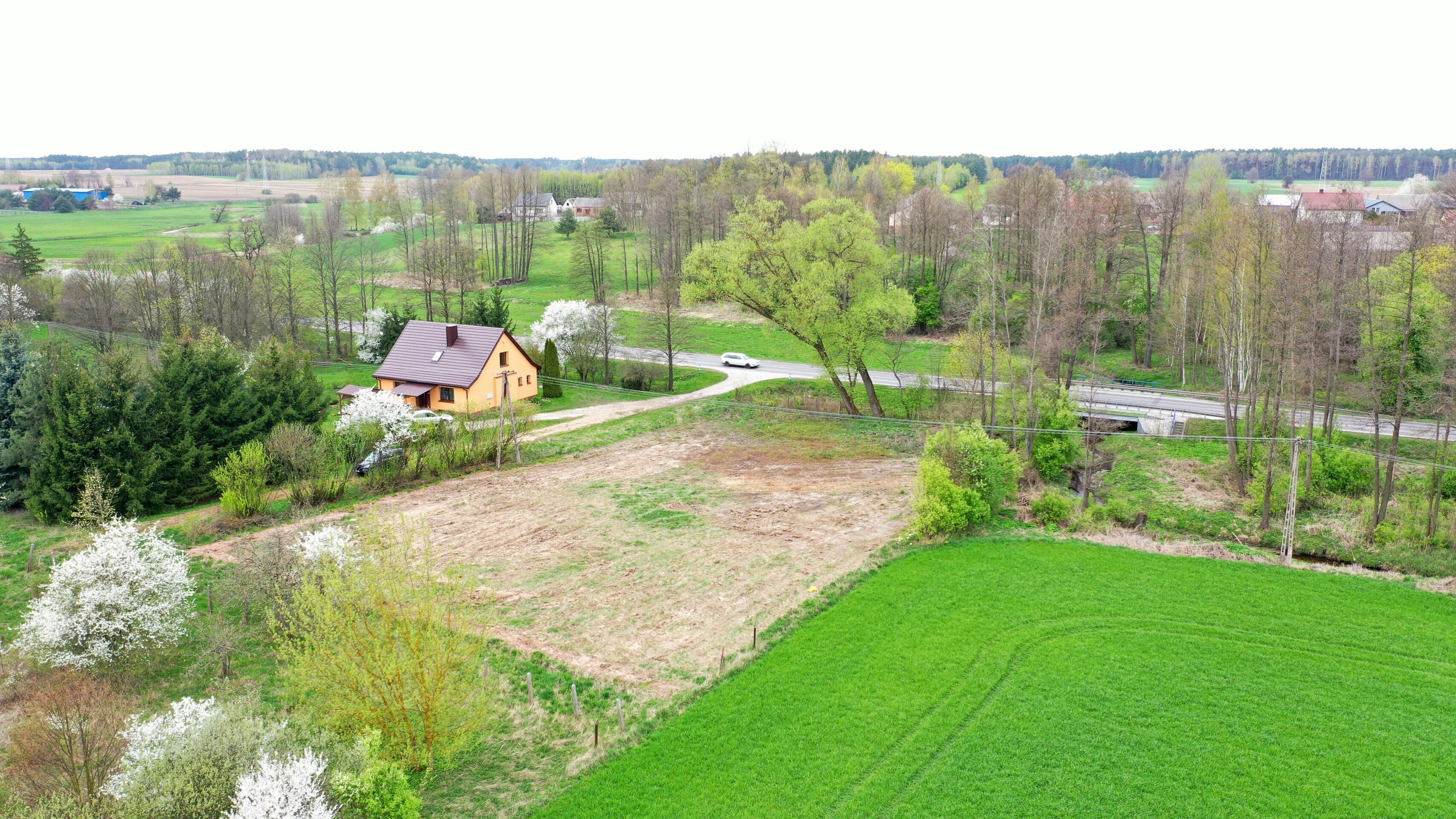 Zdjęcie 6
