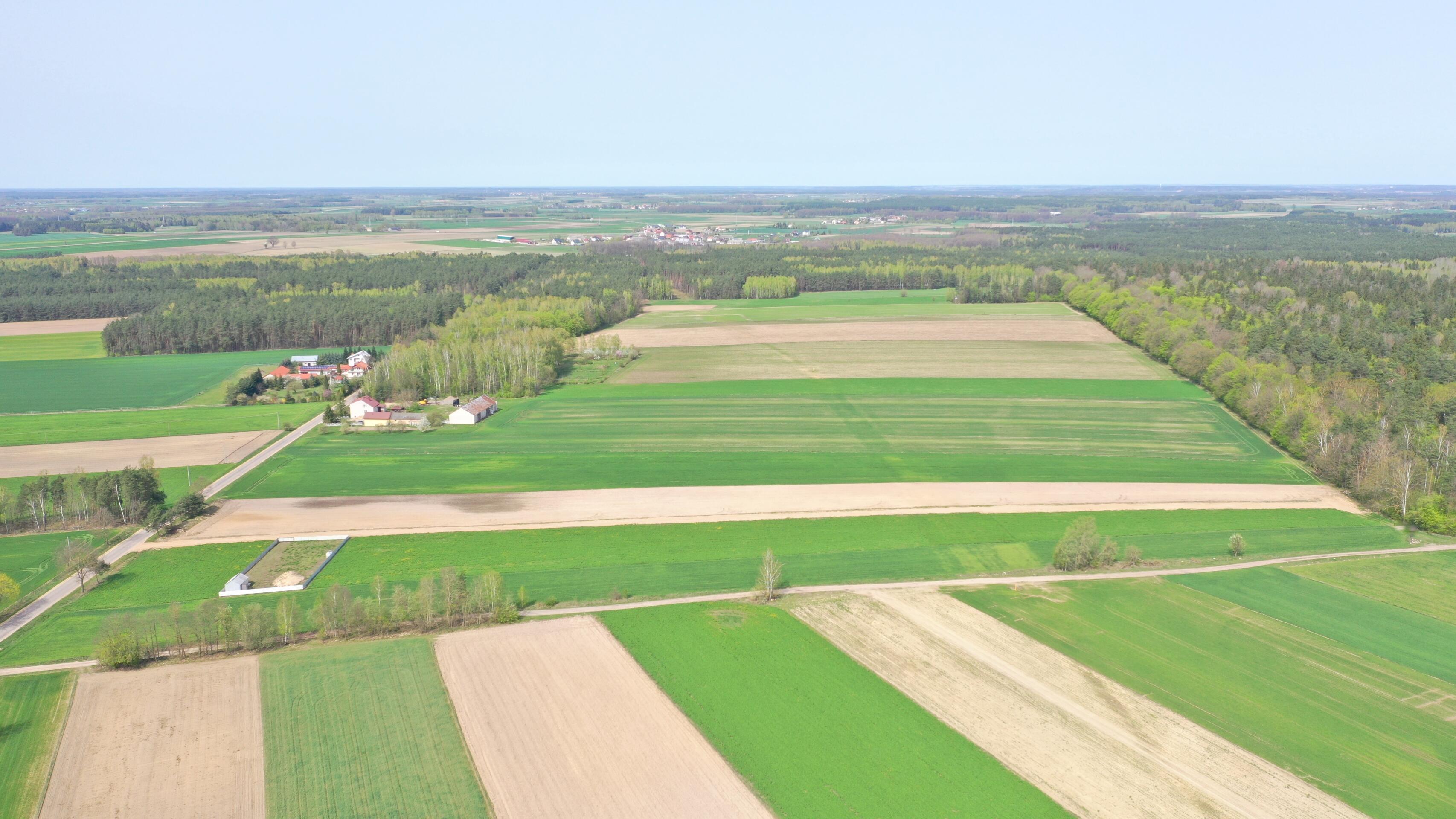 Zdjęcie 11