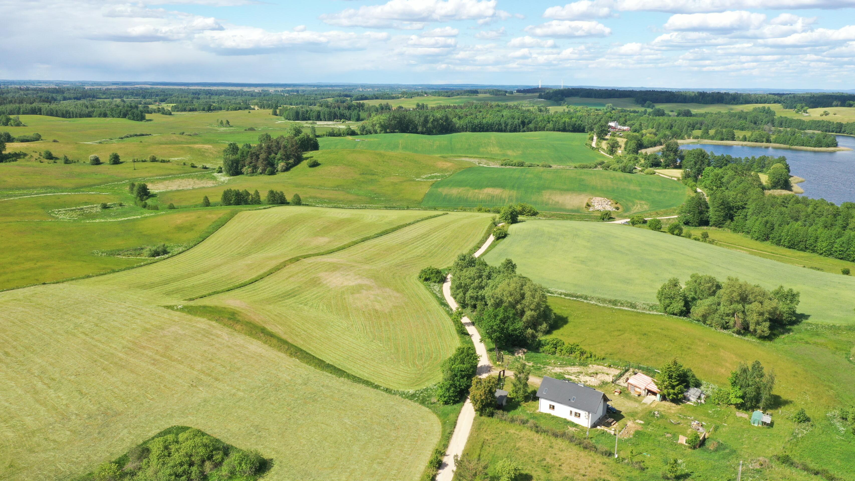 Zdjęcie 12