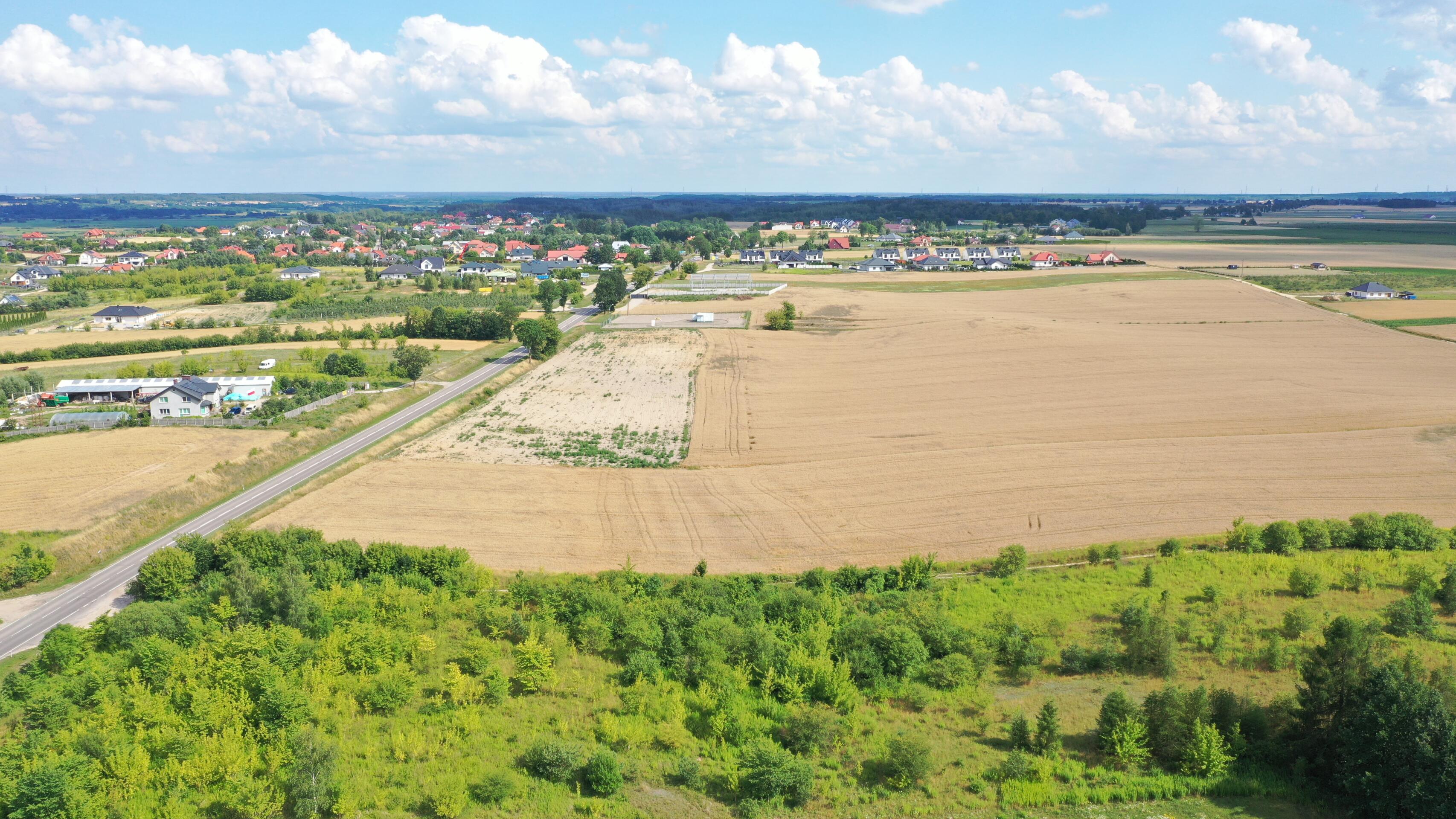 Zdjęcie 10