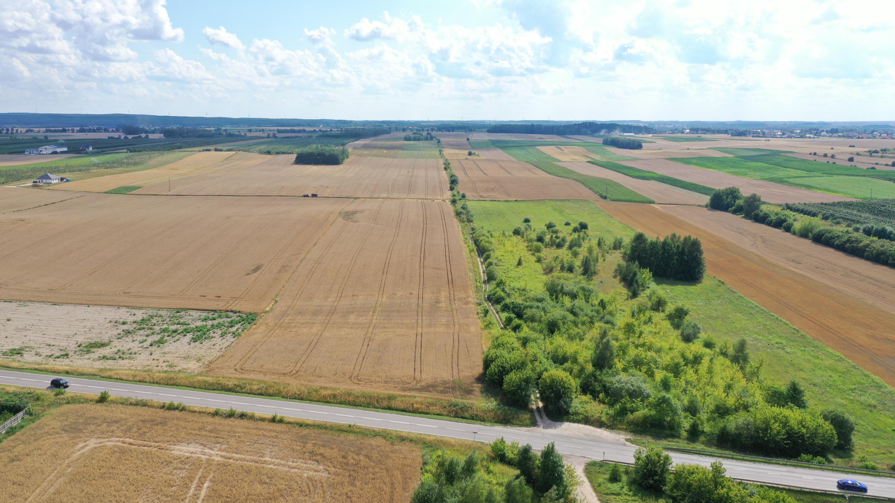 Zdjęcie 12