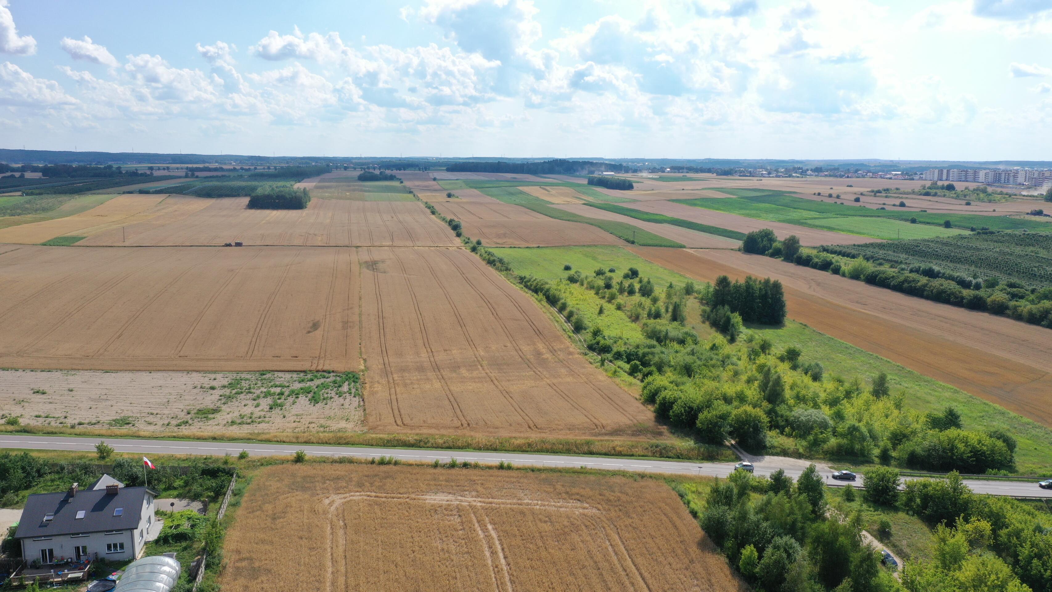 Zdjęcie 14