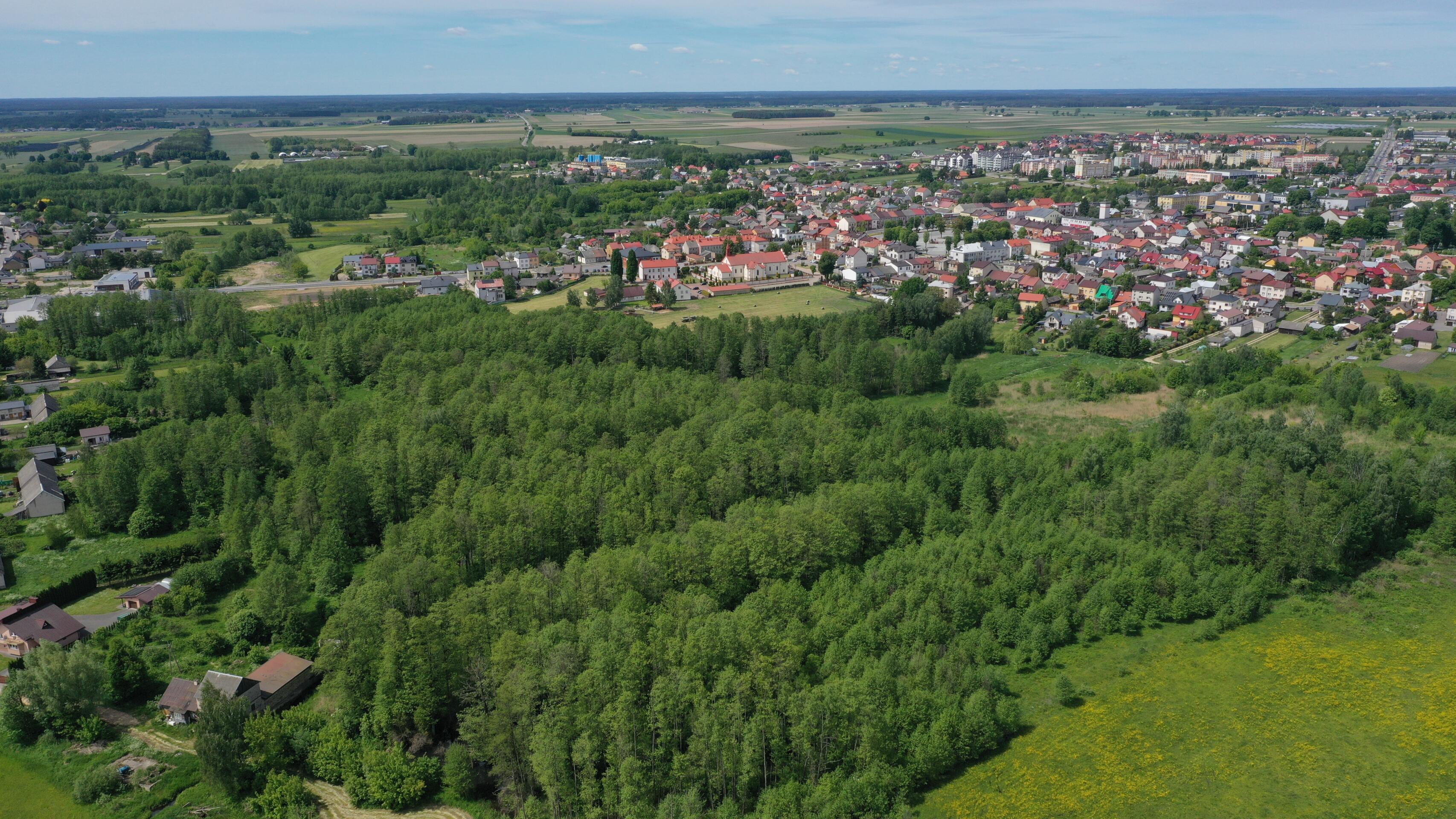 Zdjęcie 4