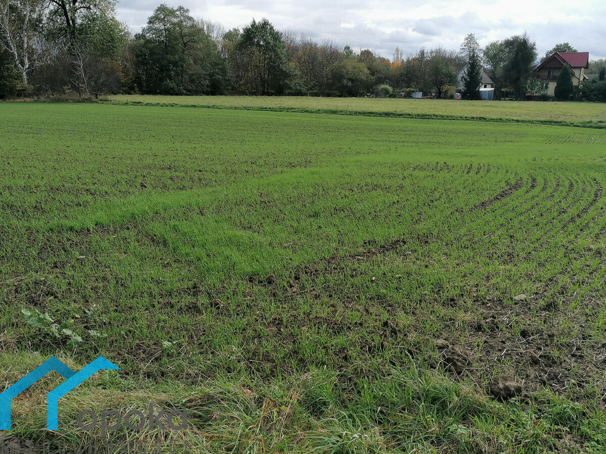 Zdjęcie 2