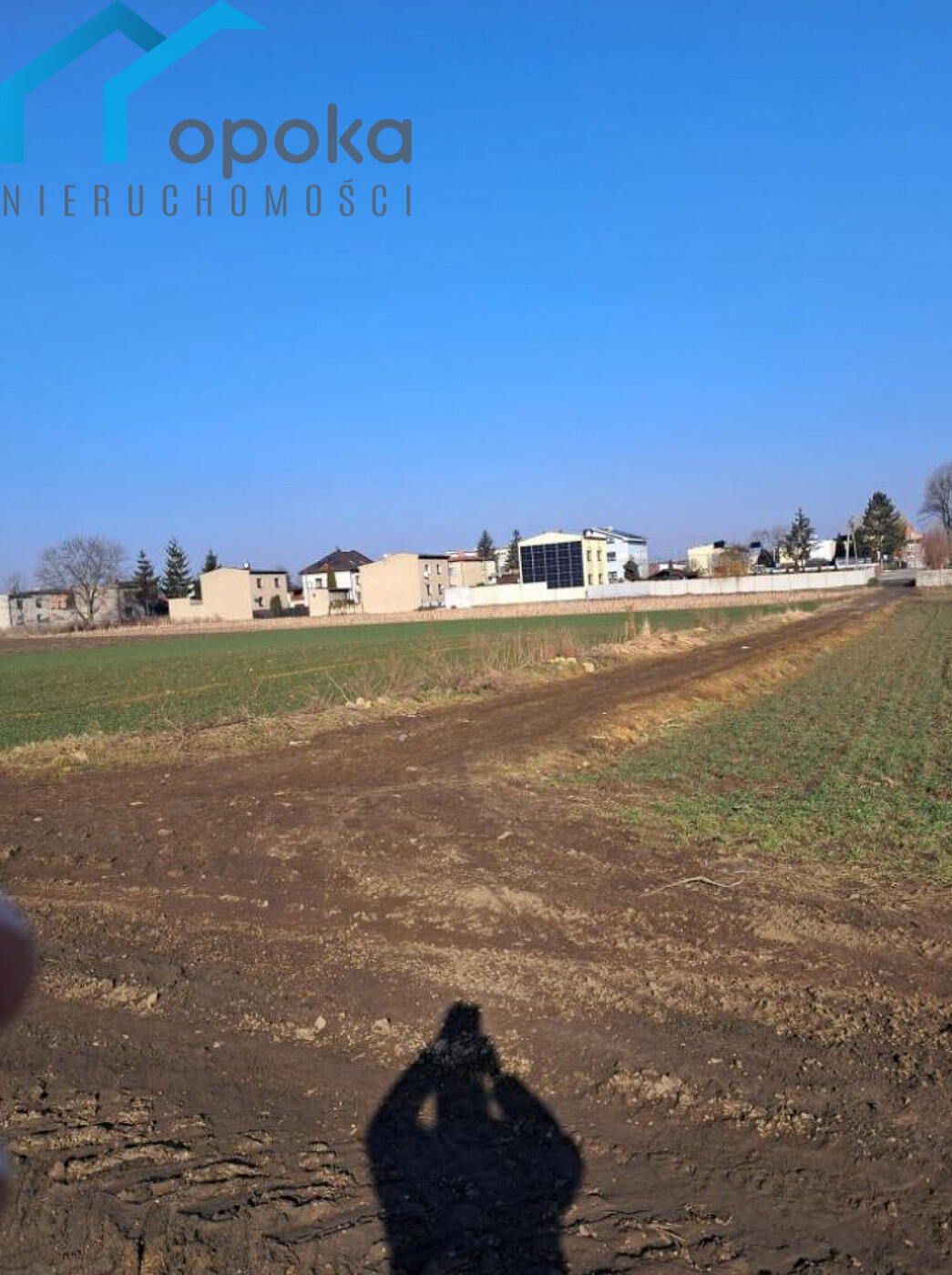 Zdjęcie 5