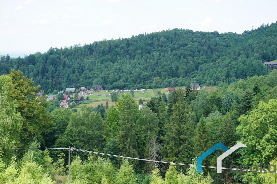 Zdjęcie 2