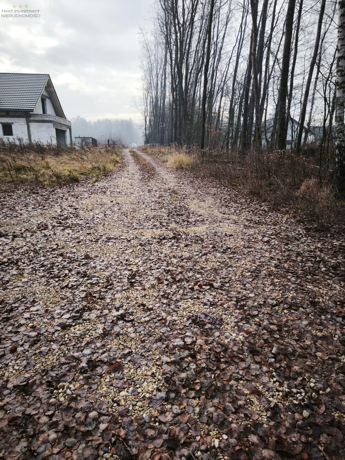 Zdjęcie 12