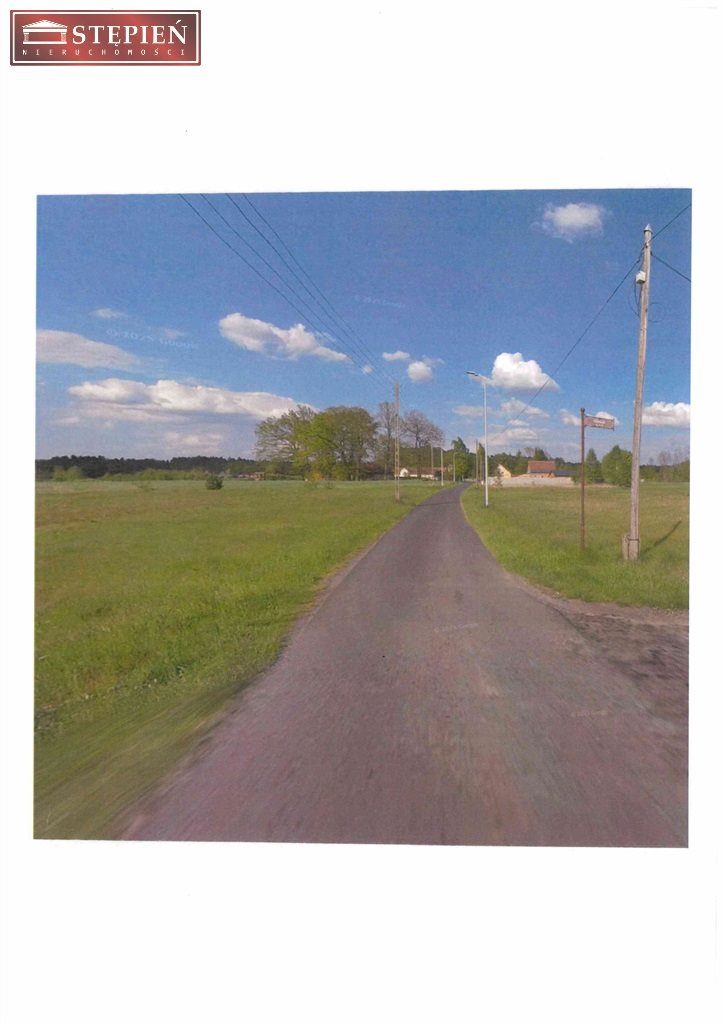 Zdjęcie 7