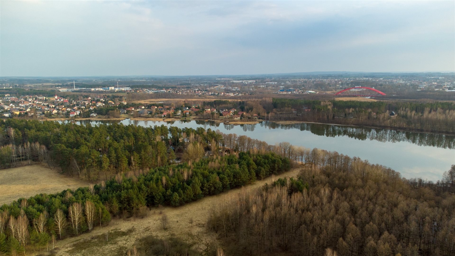 Zdjęcie 11