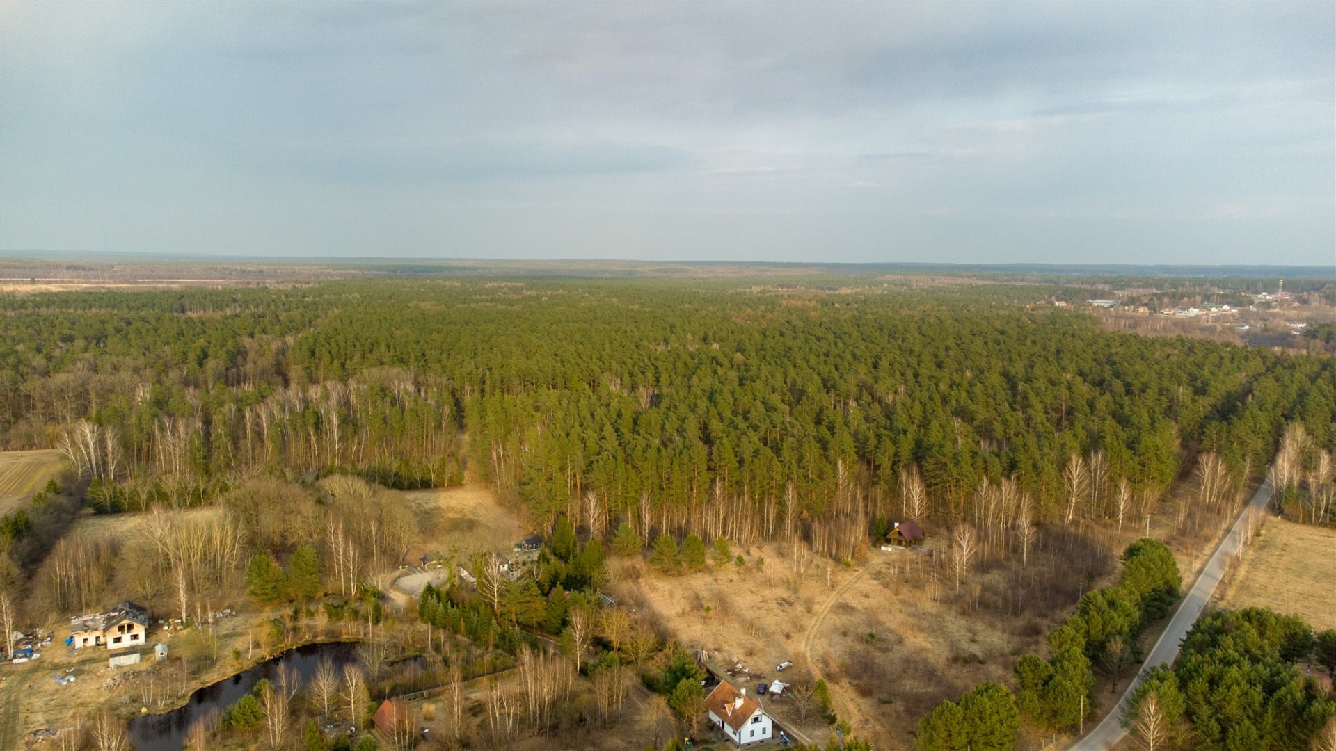 Zdjęcie 12
