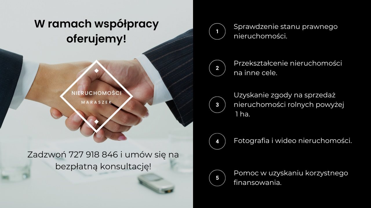 Zdjęcie 14