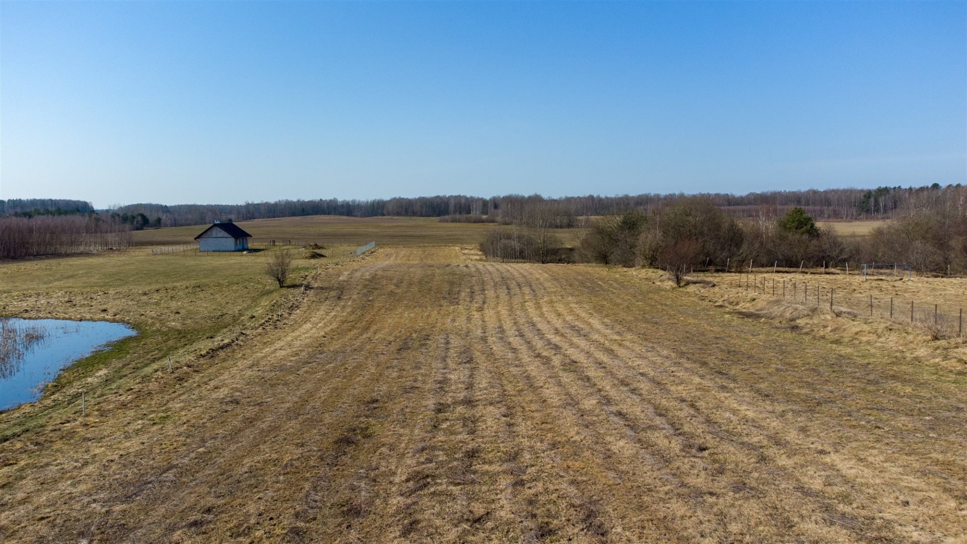 Zdjęcie 11
