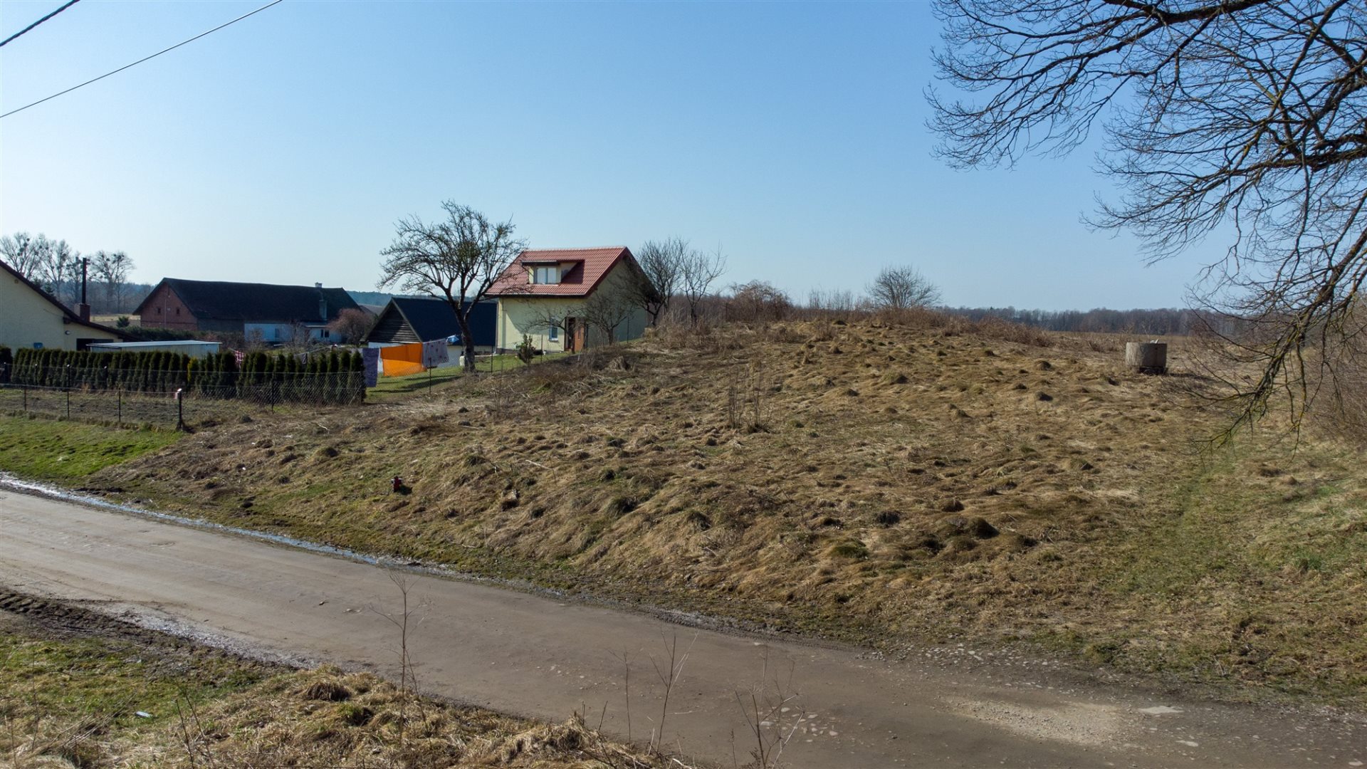 Zdjęcie 13